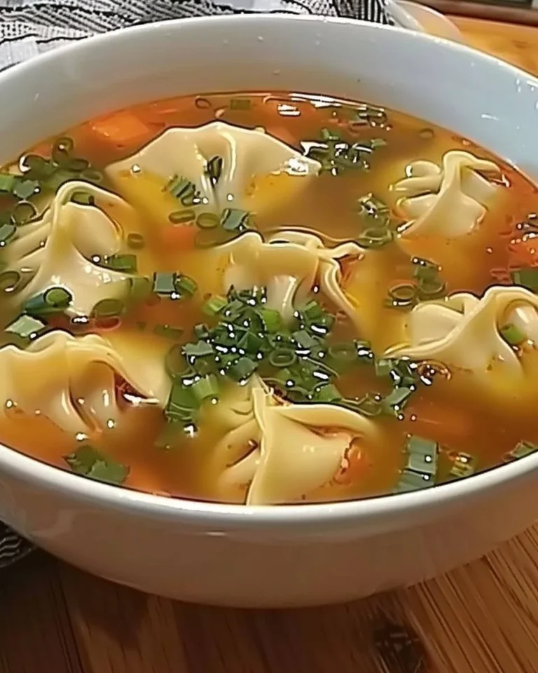 Vegane Wonton-Suppe mit frischem Gemüse und aromatischen Gewürzen