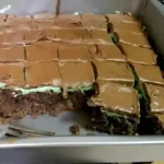 Schokoladen-Mint-Brownies mit frischer Minze und Schokoladenglasur